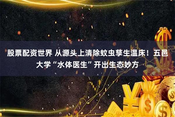 股票配资世界 从源头上清除蚊虫孳生温床！五邑大学“水体医生”开出生态妙方